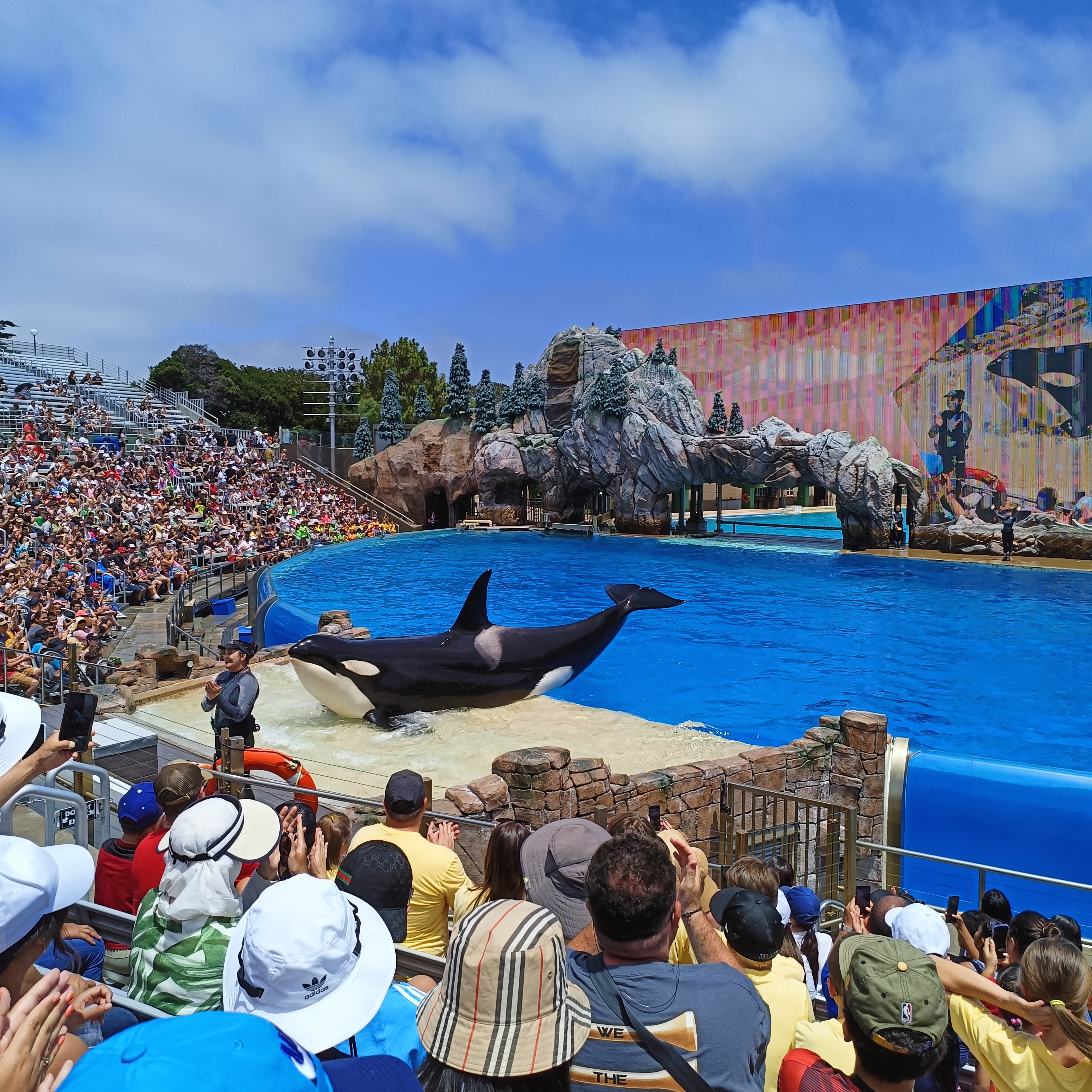 San Diego - Sea World